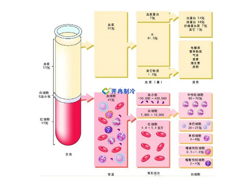 -30℃～-80℃血漿蛋白低溫冷凍庫(kù)規(guī)范，冷庫(kù)安裝價(jià)格